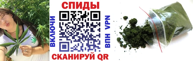 закладки  Кирс  Бутират оксана 