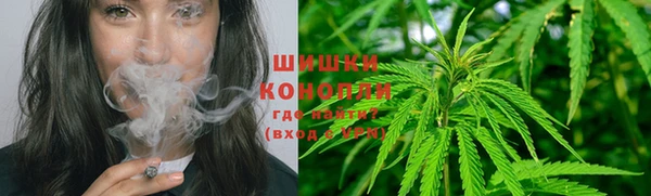 спайс Богородицк