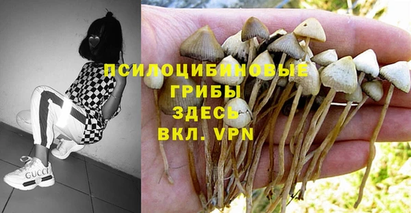 каннабис Слюдянка