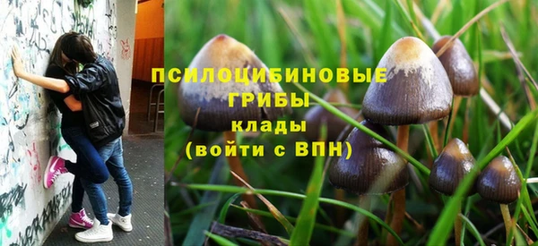 спайс Богородицк